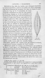 Malabathrum - Histoire naturelle des drogues simples, ou Cours d'histoire naturelle professé à l'Éco [...]