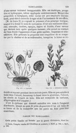 Cyclame / Globulaire turbith - Histoire naturelle des drogues simples, ou Cours d'histoire naturelle [...]
