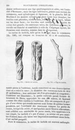 Racine de turbith / Tige de turbith - Histoire naturelle des drogues simples, ou Cours d'histoire na [...]