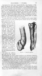 Costus des officines - Histoire naturelle des drogues simples, ou Cours d'histoire naturelle profess [...]