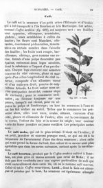 Café - Histoire naturelle des drogues simples, ou Cours d'histoire naturelle professé à l'École supé [...]