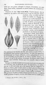 Arguel - Histoire naturelle des drogues simples, ou Cours d'histoire naturelle professé à l'École su [...]