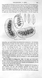Séné de la Palte - Histoire naturelle des drogues simples, ou Cours d'histoire naturelle professé à  [...]