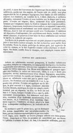 Ampélidées - Histoire naturelle des drogues simples, ou Cours d'histoire naturelle professé à l'Écol [...]