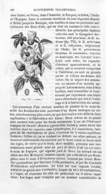 Coton - Histoire naturelle des drogues simples, ou Cours d'histoire naturelle professé à l'École sup [...]