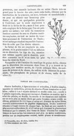 Lin cultivé - Histoire naturelle des drogues simples, ou Cours d'histoire naturelle professé à l'Éco [...]
