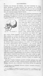 Tête d'homme - Histoire naturelle des drogues simples, ou Cours d'histoire naturelle professé à l'Éc [...]
