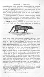 Zibeth - Histoire naturelle des drogues simples, ou Cours d'histoire naturelle professé à l'École su [...]