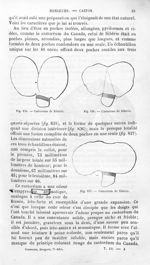 Castoréum de Sibérie - Histoire naturelle des drogues simples, ou Cours d'histoire naturelle profess [...]