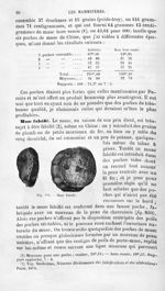 Musc falsifié - Histoire naturelle des drogues simples, ou Cours d'histoire naturelle professé à l'É [...]