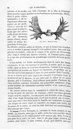 Bois de l'élan - Histoire naturelle des drogues simples, ou Cours d'histoire naturelle professé à l' [...]