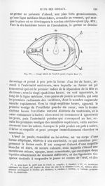 Coupe idéale de l'oeuf de poule d'après Baer - Histoire naturelle des drogues simples, ou Cours d'hi [...]