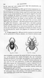 Tique / Rouget - Histoire naturelle des drogues simples, ou Cours d'histoire naturelle professé à l' [...]