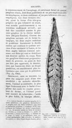 Anatomie de la sangsue médicinale - Histoire naturelle des drogues simples, ou Cours d'histoire natu [...]