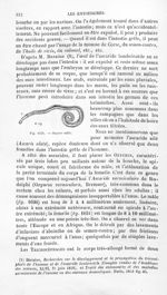 Oxyrure mâle - Histoire naturelle des drogues simples, ou Cours d'histoire naturelle professé à l'Éc [...]