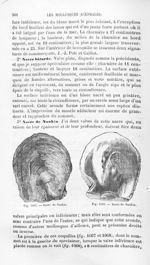 Nacre de Nankin - Histoire naturelle des drogues simples, ou Cours d'histoire naturelle professé à l [...]