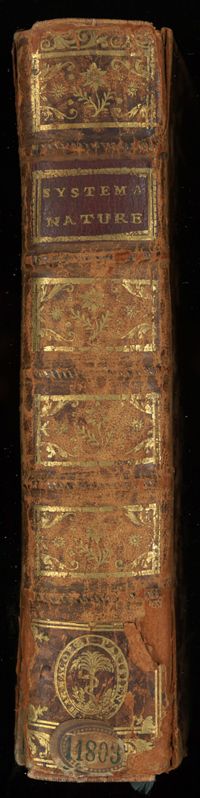 0001 - Page sans numérotation - [Dos]