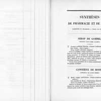 0003 - Page 3 - Synthèses de pharmacie et de chimie J. Sirop de gomme. Syrupus cum gummi arabico / Conserve de roses. Conserva de rosis rubris