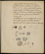 [Dessins manuscrits de lycopodiacées ?] - Cours de l'École supérieure de pharmacie de Strasbourg, ré [...]