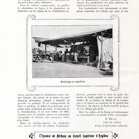 0090 - Page 80 - La fraise [E. Déaux] / L'essence de mirbane au Conseil supérieur d'hygiène