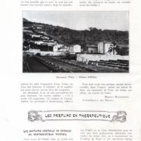 0026 - Page 14 - L'odorat [Maurice Maeterlinck] / Les parfums en thérapeutique. Les parfums capiteux et tenaces en thérapeutique mentale