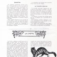 0078 - Page 66 - Informations. Amabilités / Un incendie à Chèvres / La civette