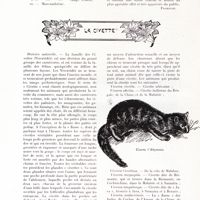 0090 - Page 78 - Emploi de l'essence de likari [Floriane] / La civette