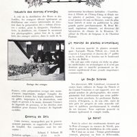 0093 - Page 81 - Variétés. Industrie des écorces d'oranges / Essence de shiu / Ylang-ylang / Un marché de plantes aromatiques / La sauge sclarée / Le néroli