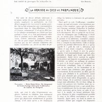 0096 - Page 84 - La benzylidène-acétone et les succédanés d'essences de lavande [Geo Baduel] / La graisse de coco en parfumerie