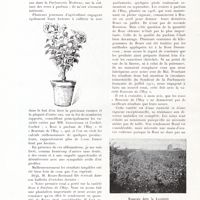 0098 - Page 86 - Les roses à parfums