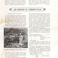 0107 - Page 95 - Présence de la paraffine dans les essences concrètes de fleurs [P. M.] / Les essences en thérapeutique