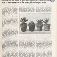 0014 - Page 1 - La durée du jour a une influence prépondérante sur la croissance et la maturité des plantes