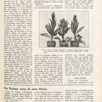 0016 - Page 3 - La durée du jour à une influence prépondérante sur la croissance et la maturité des plantes [André Crober] / Un parfum vieux de seize siècles
