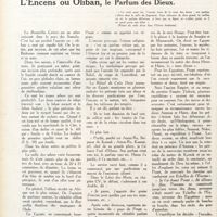 0017 - Page 4 - L'encens ou oliban, le parfum des Dieux