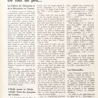 0025 - Page 12 - De tout un peu... La culture du géranium et de la marjolaine en Tunisie / L'huile grasse et l'huile volatile tirées des amandes des cerises / Les citronnelles