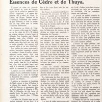 0043 - Page 30 - Essences de cèdre et de Thuya