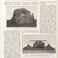 0069 - Page 56 - Observations sur l'ambre gris