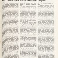 0074 - Page 61 - La Foire des lavandes de Digne