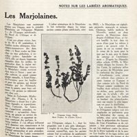 0102 - Page 89 - [Page de titre] n° 5 - Mai 1921. Notes sur les labiées aromatiques. Les marjolaines