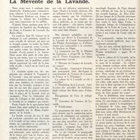 0109 - Page 96 - La mévente de la lavande