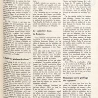 0114 - Page 101 - De tout un peu... Un succédané du Ginseng / L'huile de graines de citron / Le cannelier doux de Sumatra / Remarque sur le greffage des agrumes