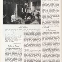 0127 - Page 114 - Au jardin des hespérides. Plantes sauvages / Jardins et fleurs / La malvarrossa