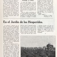 0128 - Page 115 - Au jardin des hespérides. La malvarrossa / Distilleries d'orange et citron [Evaldo C. Jorda] / En el jardin de las Hesperides