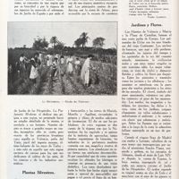 0129 - Page 116 - Au jardin des hespérides. En el jardin de las Hesperides / Plantas Silvestres / Jardines y Flores