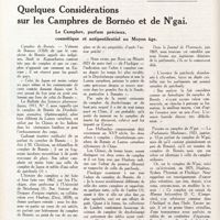 0131 - Page 118 - Rétrospectivités. Quelques considérations sur les camphres de Bornéo et de N'gai
