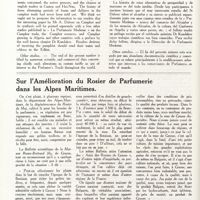 0195 - Page 182 - Sumary of n° 9 - Sumario del n° 9 / Sur l'amélioration du rosier de parfumerie dans les Alpes maritimes [Prof. A. Rolet]