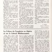 0225 - Page 212 - Un genévrier intéressant [L. Lestra] / La culture du camphrier en Algérie et sur le littoral méditerranéen
