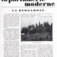 0419 - Page 399 - La bergamote