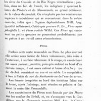 0057 - Page 51 - Pérou
