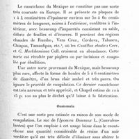 0059 - Page 53 - II. Amérique centrale. Mexique / Guatemala